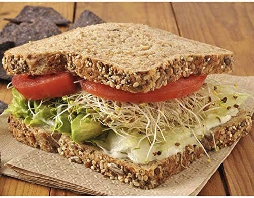 Food To Live - Vente Graines de plantes - Mélange antioxydant de graines germées – Brocoli, Trèfle et Luzerne3