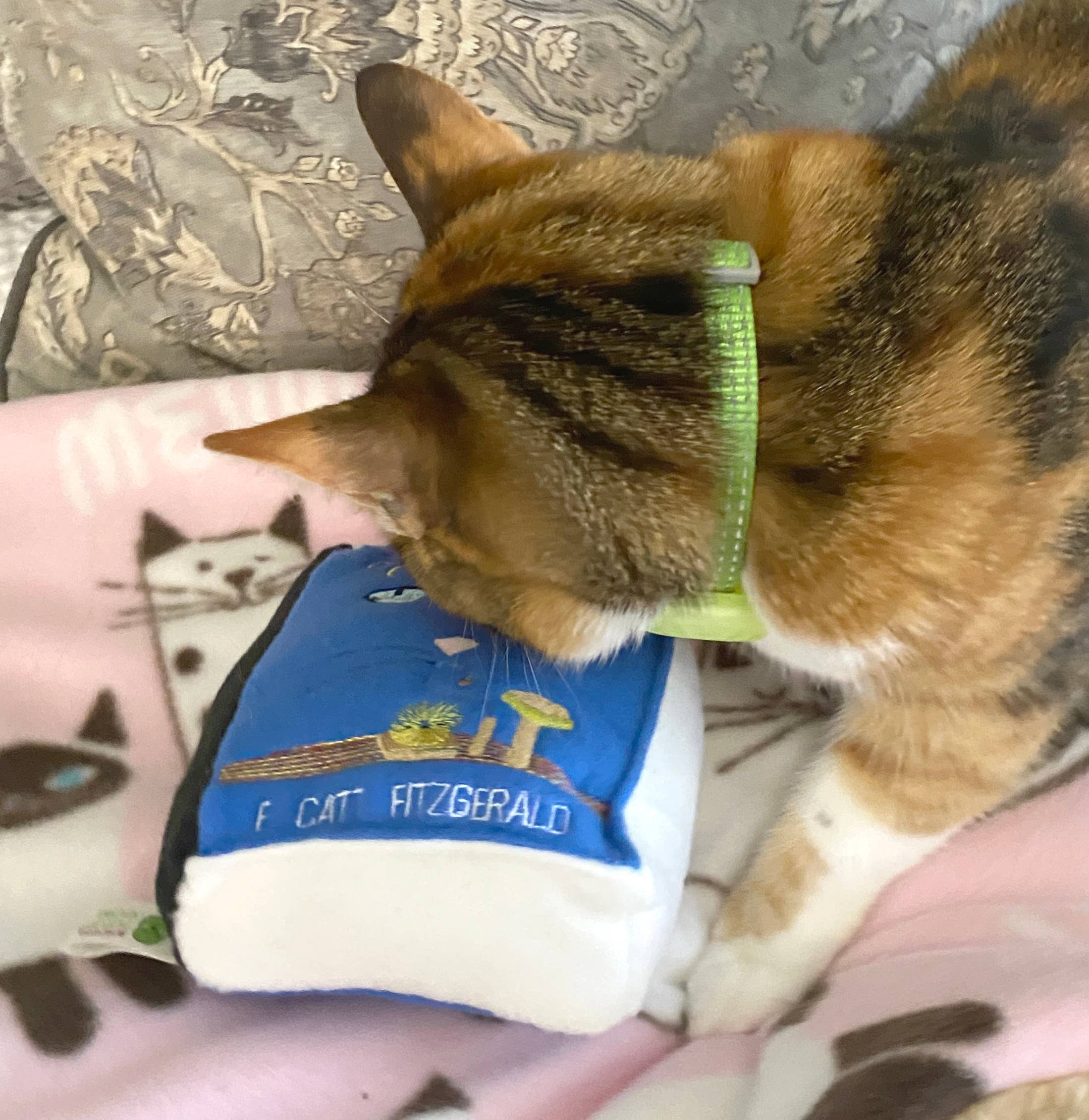 Screaming Pickles – Engroshandel Legetøjssæt - Kat – Håndlavet plyslegetøj - Plys bog til katte "Den Store Catsby"14