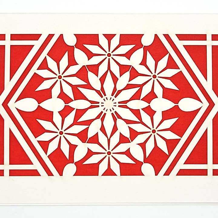 Poinsettia for wholesale by two hermanas