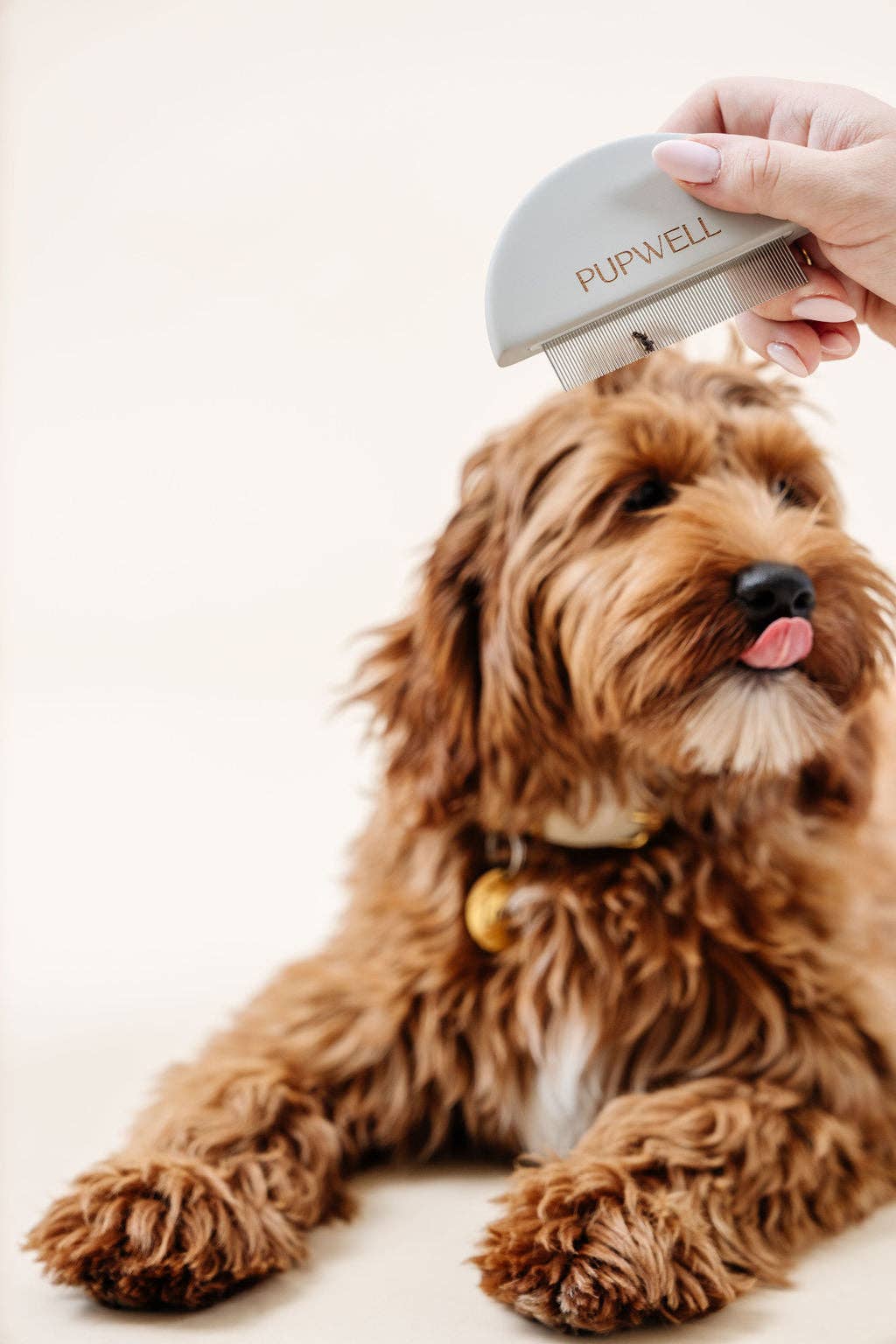 Pupwell - Wholesale Pet Grooming Tool - Dog - The Detailer Comb8