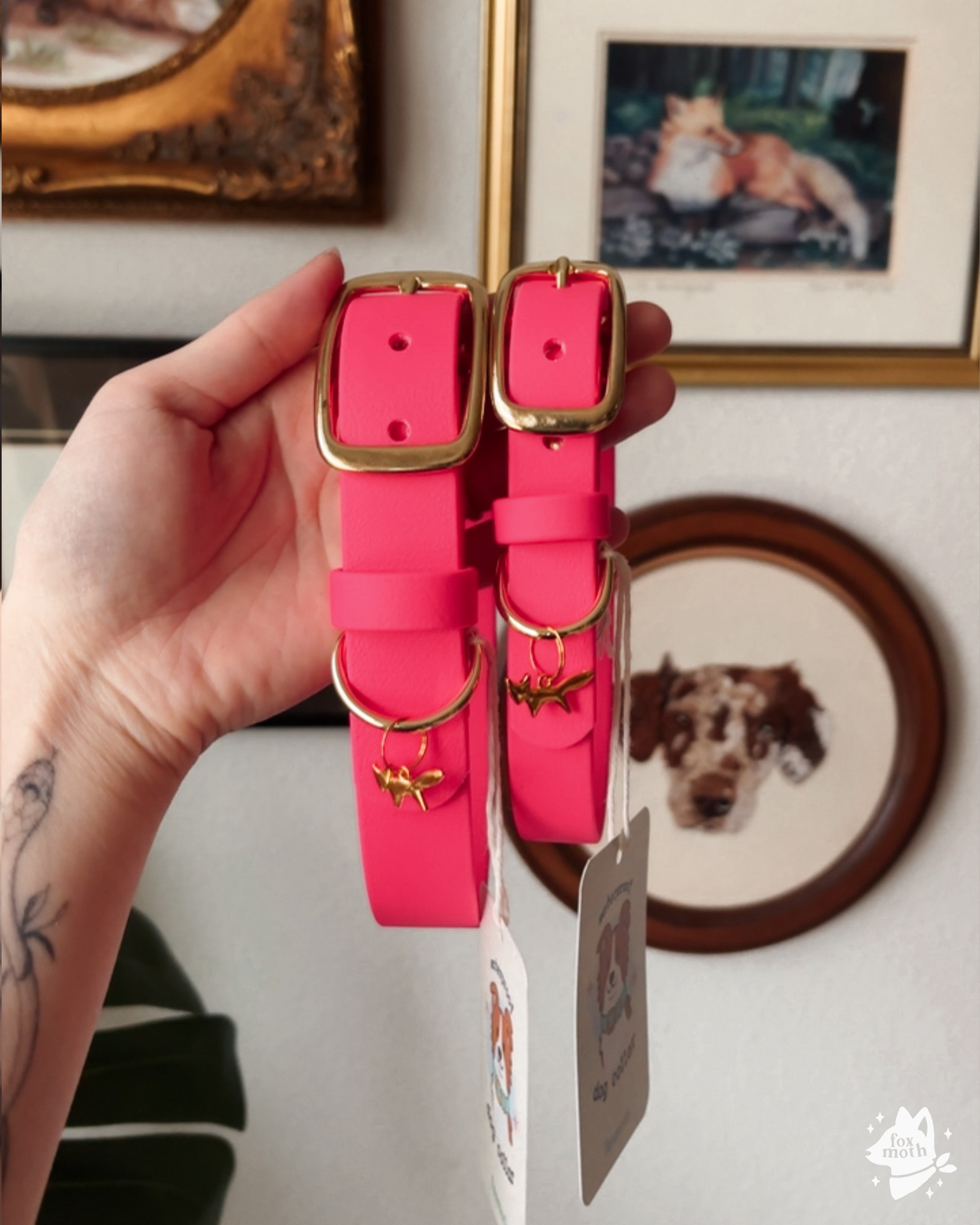 FoxMoth - Wholesale Pet Collar - Dog - Modern Waterproof Biothane Dog Collar [All 17+ Colors]21