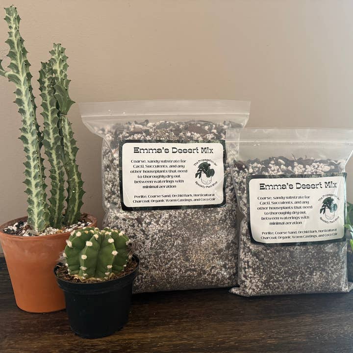 Emma's Desert Mix for wholesale by The Propagation Jar