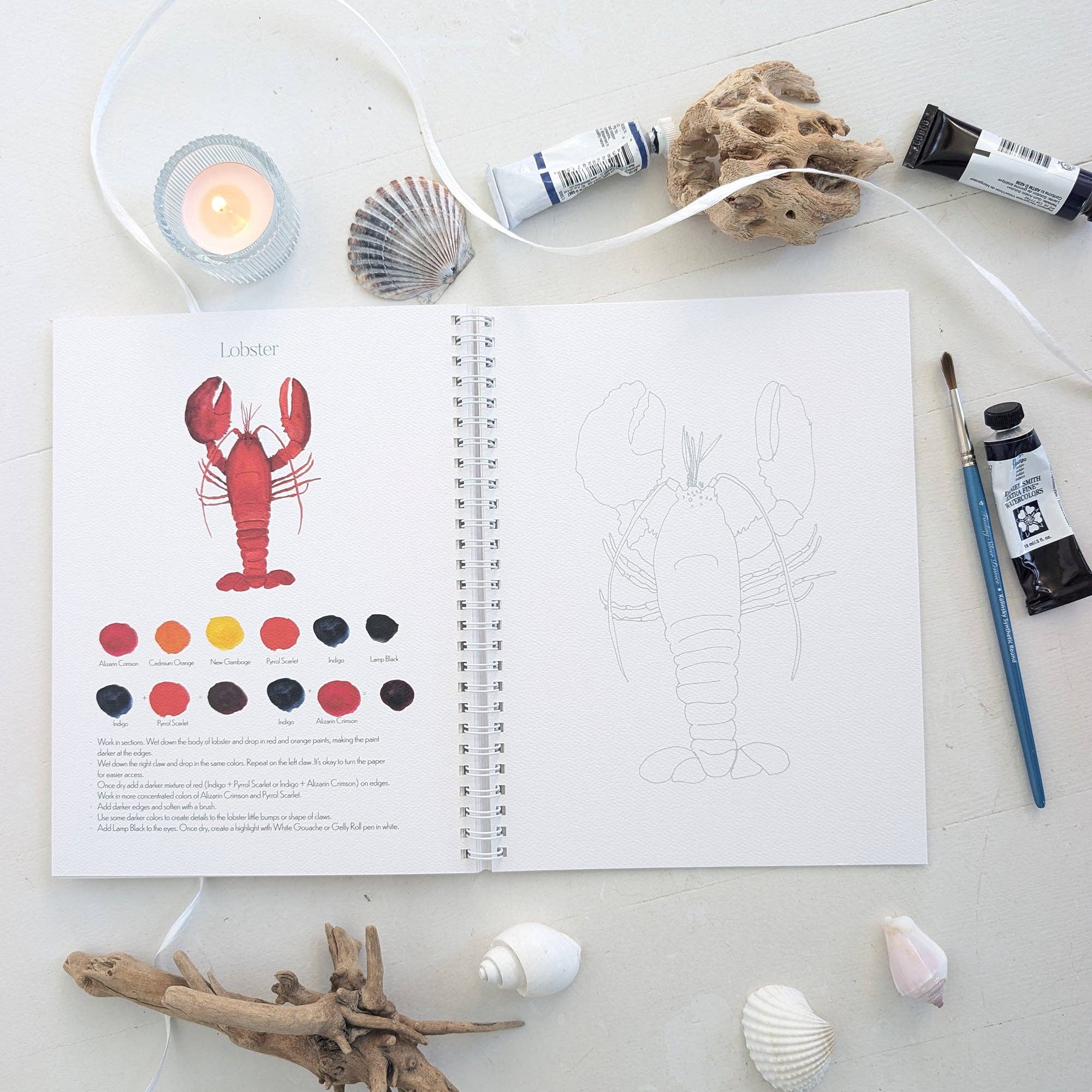 Finding Silver Pennies - Wholesale Crafts, Hobbies & DIY Book - Coastal Watercolor Workbook | Outlines + Video Tutorials5