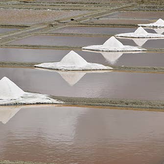 Artisans du sel - Wholesale Salt - Fine Guérande Salt bag 500gr3