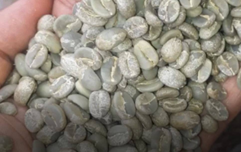 Café Las Margaritas - Wholesale Coffee Beans - COFFEE COLOMBIA origin Finca Arabica GRANO 8x250gr natu roast10