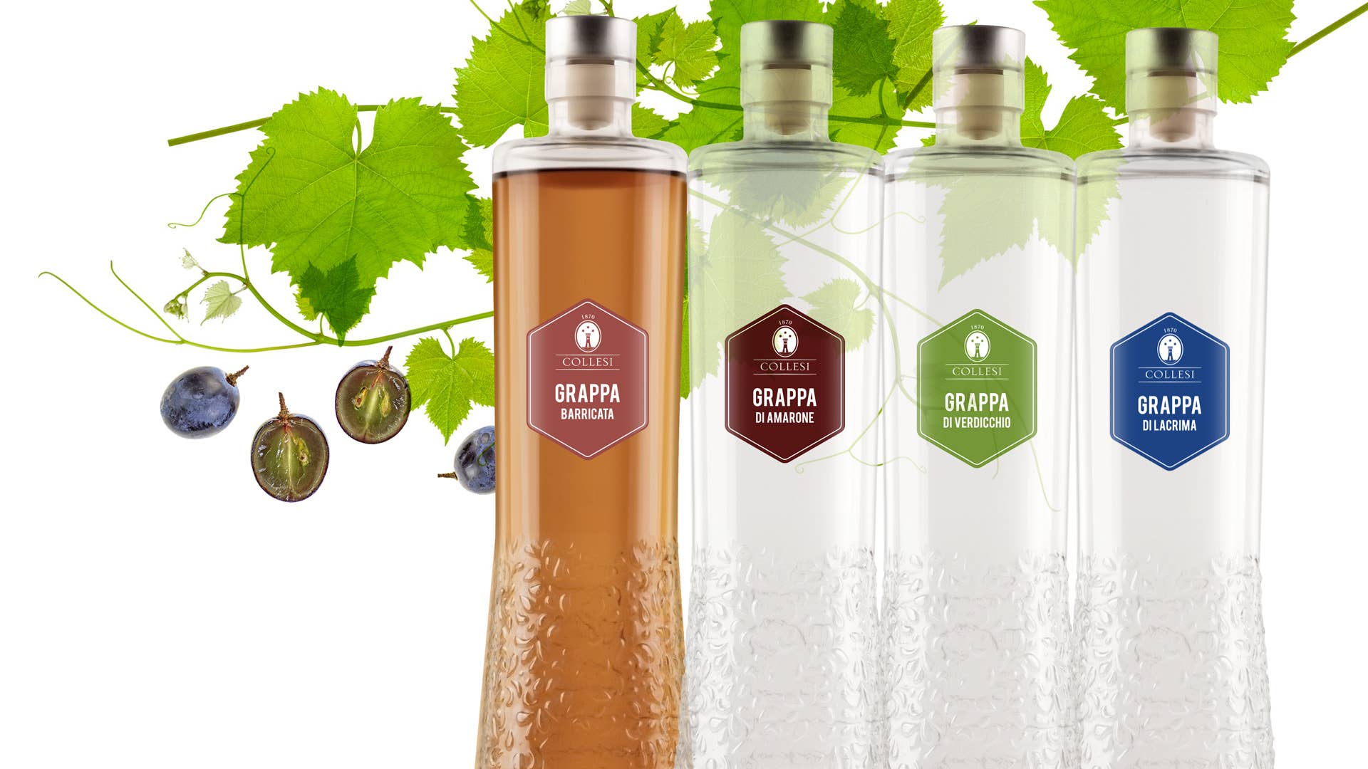 COLLESI TRADE SRL - Wholesale Liqueur - AMARONE GRAPPA COLLESI 700ml 40%2