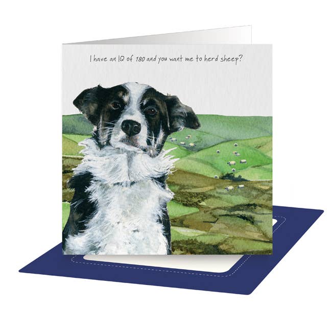The Little Dog Laughed - Wholesale Everyday Greeting Card - Border Collilie Greeting Card