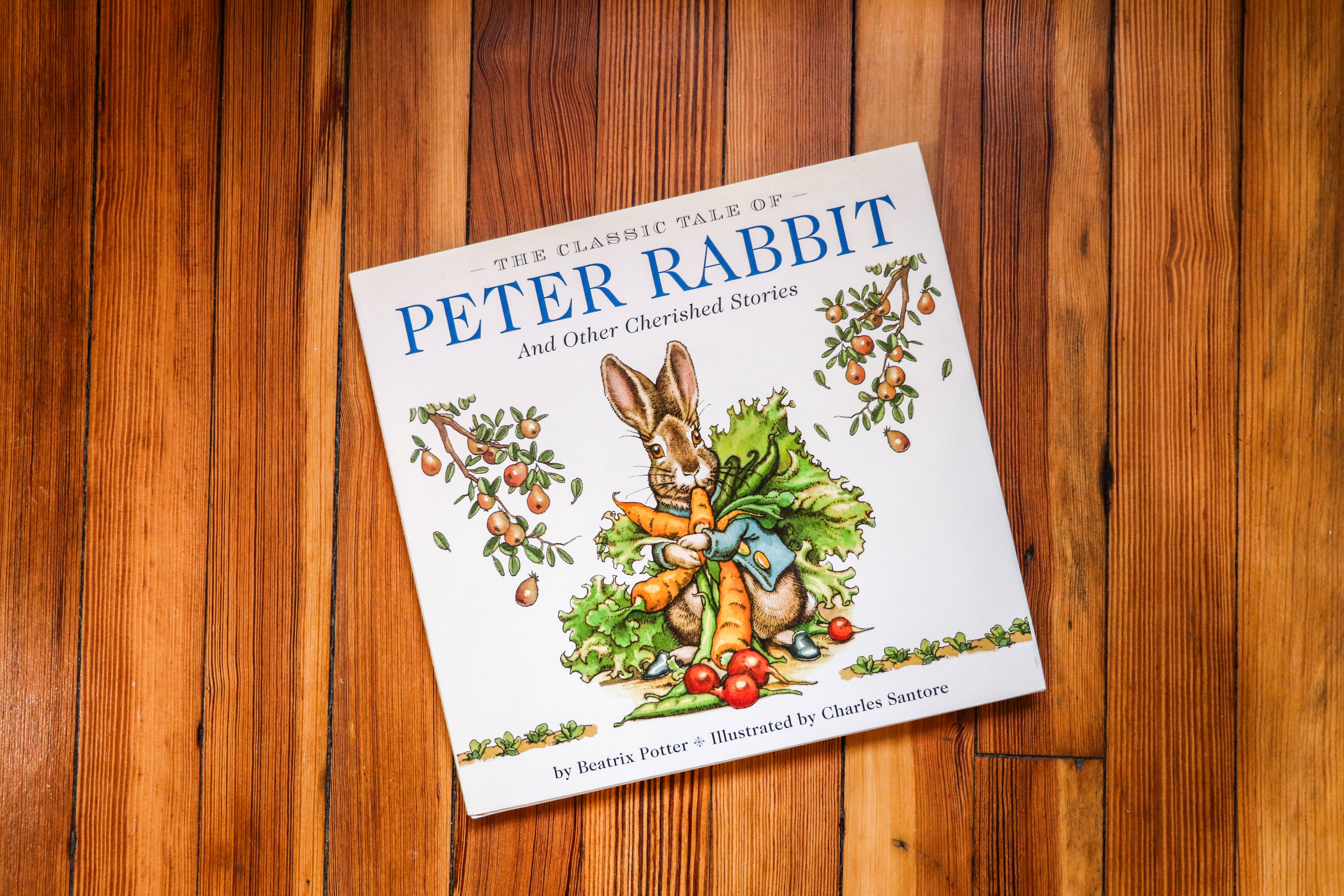 HarperCollins Focus - Wholesale Preschool Book (3-5) - The Classic Tale of Peter Rabbit Hardcover: The Classic Ed1