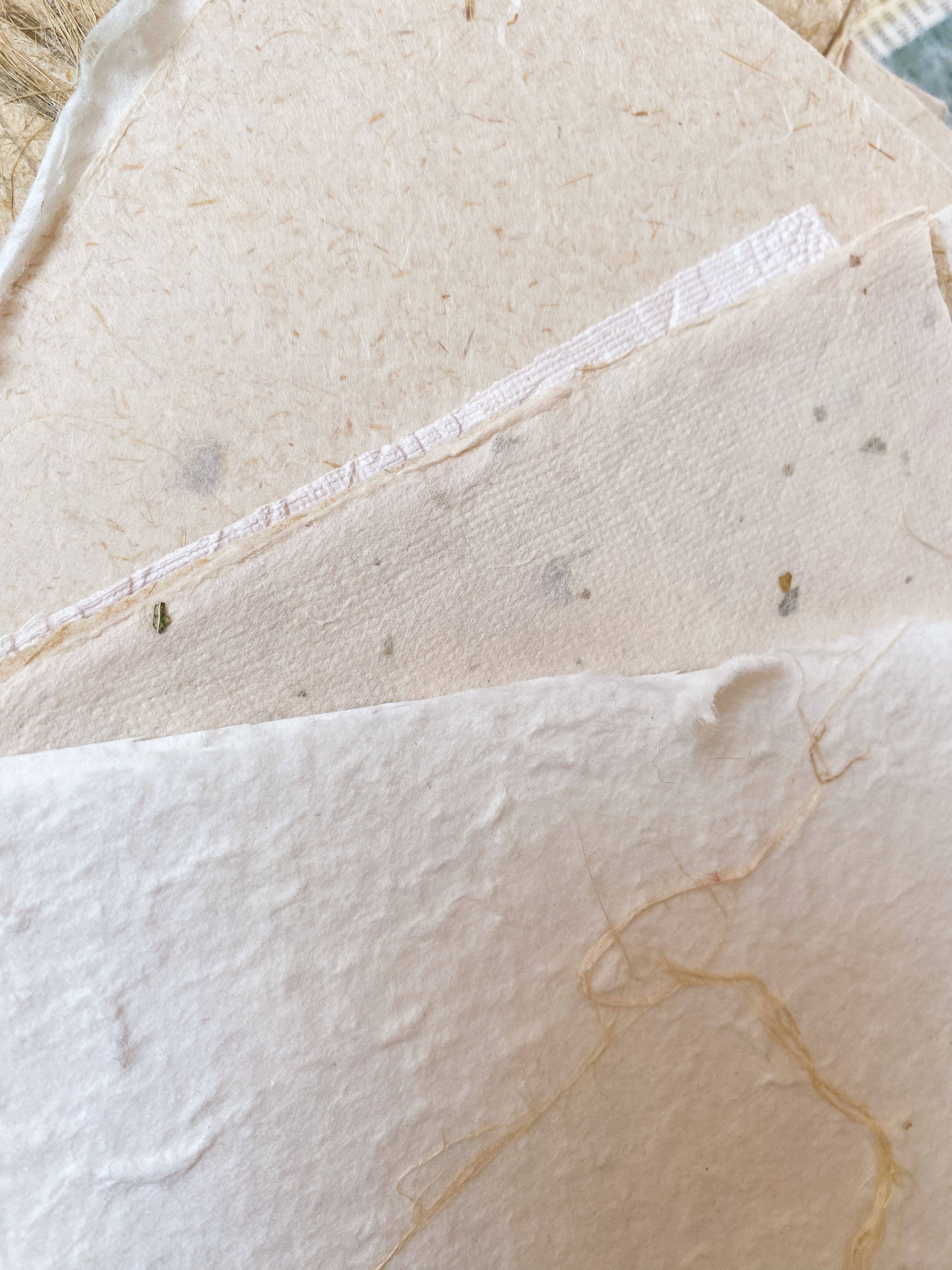 Chapteries - Wholesale Scrapbooking Kit - Paquet de papier - Sauvé du grenier5