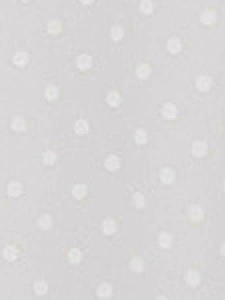 ePretty - Wholesale Blouse - Women's - G8-TP092 Swiss Dot Short Sleeve Smocked Blouse