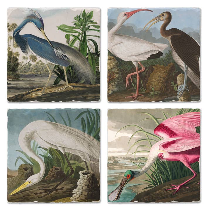 CounterArt/Highland Home/Thirstystone/CoasterStone - Wholesale Coasters - Fine Art "John James Audubon" 4pk Asst. Stone Coasters