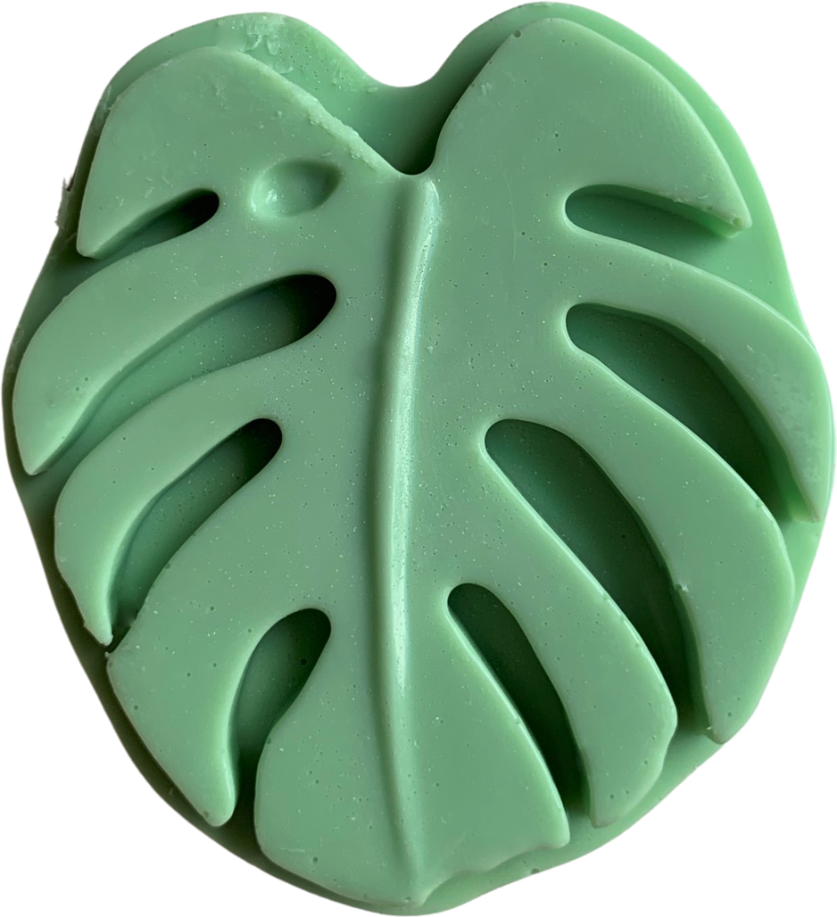 Plunk Soap and Candle Company - Wholesale Bar Soap - Monstera Leaf Soap1