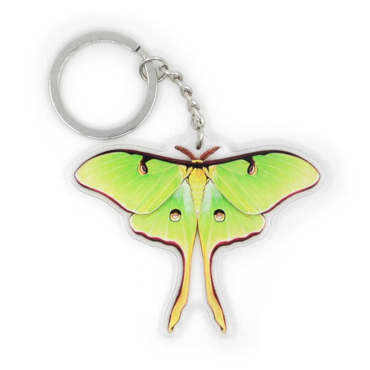 Luna Moth with Spread Wings Double-Sided Acrylic Keychain for wholesale by Allison Stoiser Art
