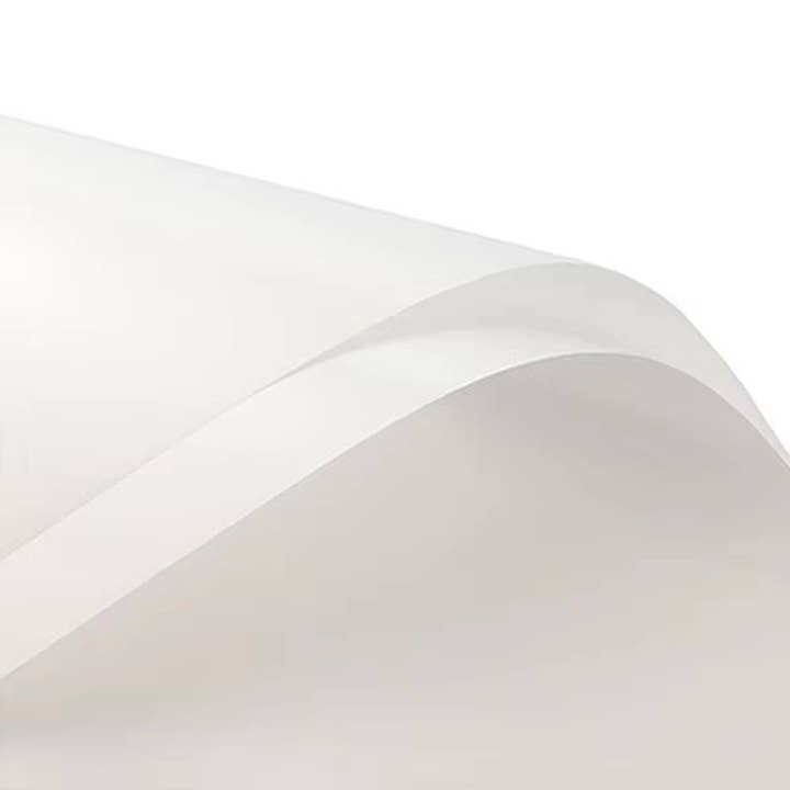 Elegant Design Supply - Wholesale Wrapping Paper Roll - Solid Color Korean Inspired Flower Wrapping Paper (20pcs/bag)10