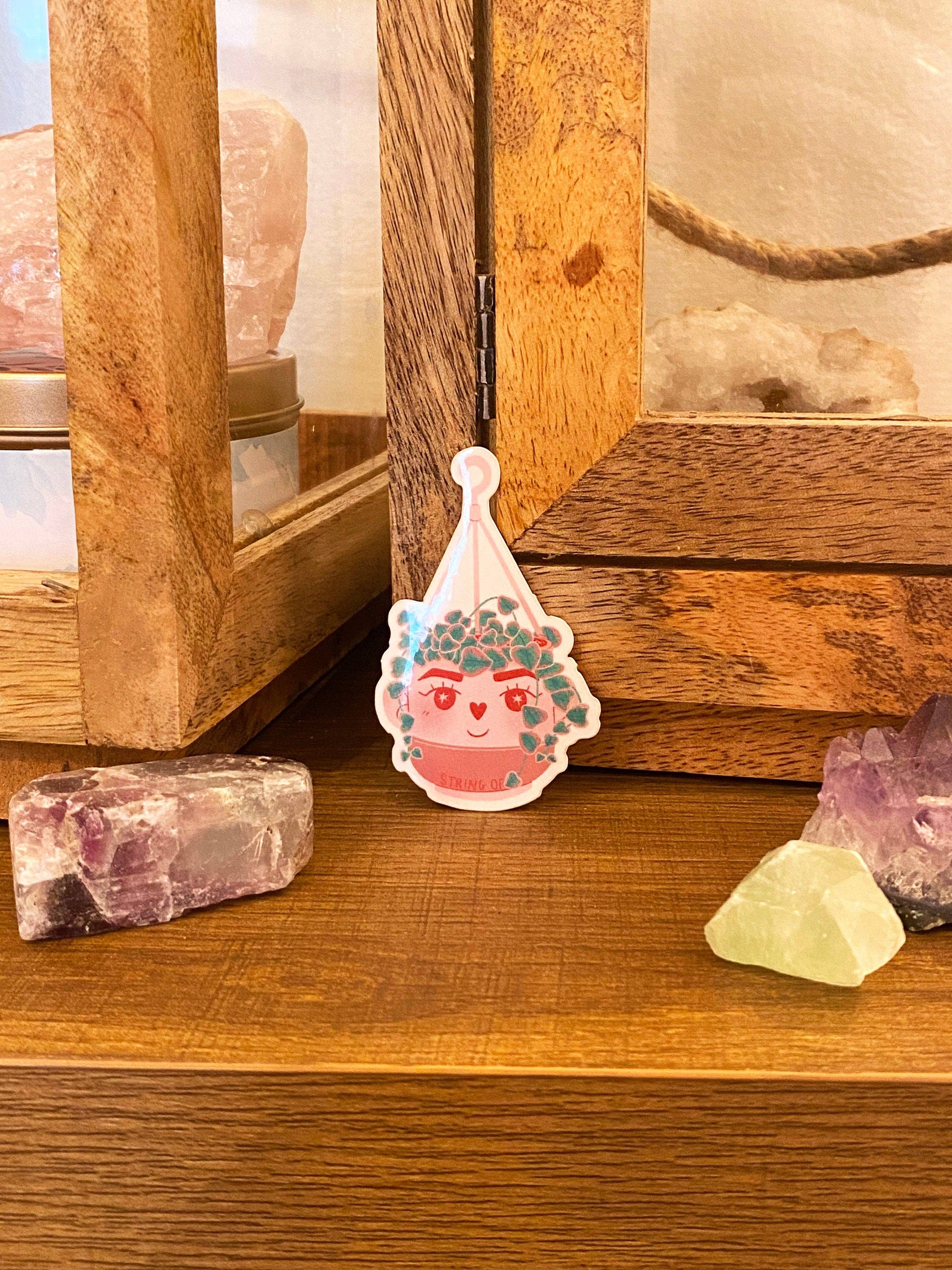 lu bremer design - Wholesale Sticker - variegated string of hearts plant sticker4