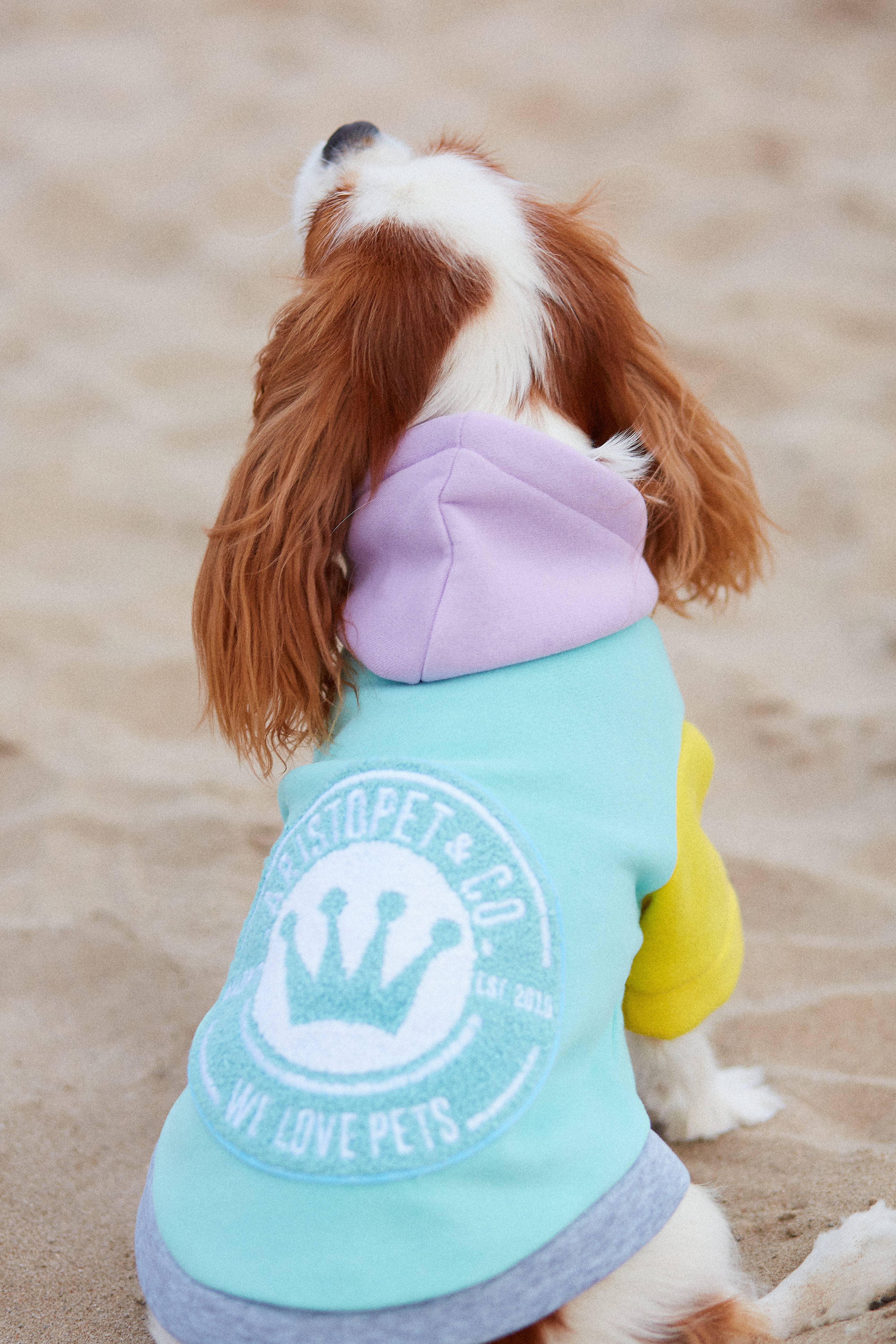 ARISTOPET - Wholesale Pet Hoodie - Dog - AUGUSTO AQUA HOODIE SWEATSHIRT19