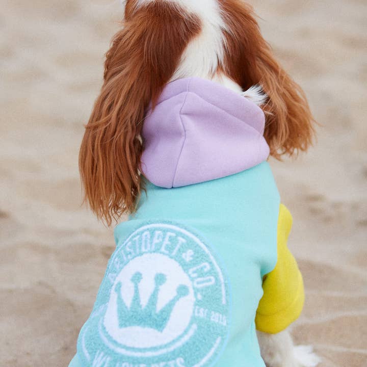 ARISTOPET - Wholesale Pet Hoodie - Dog - AUGUSTO AQUA HOODIE SWEATSHIRT19