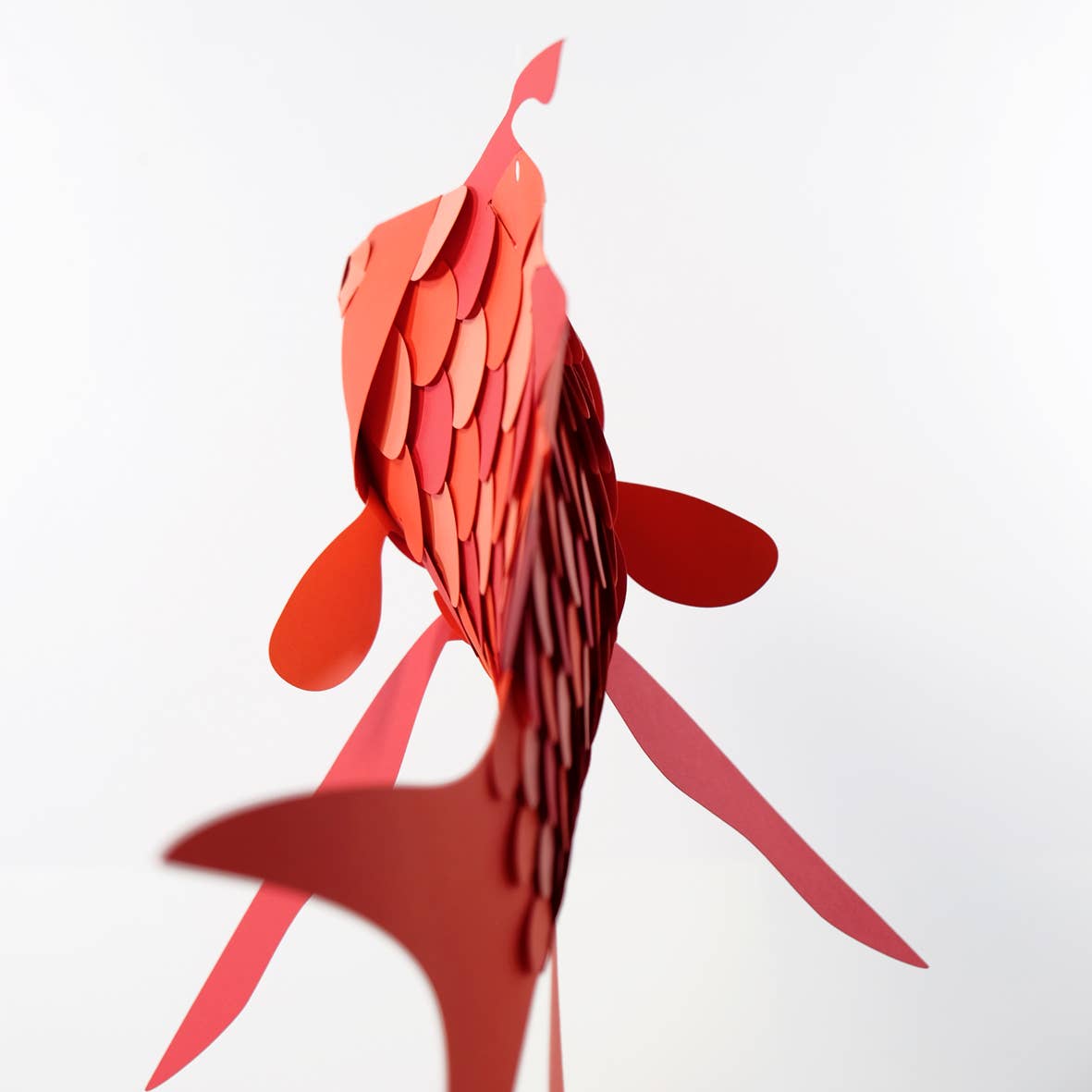 PLEGO - Wholesale DIY Craft Kit - ANTHIAS ANTHIAS - paper fish2