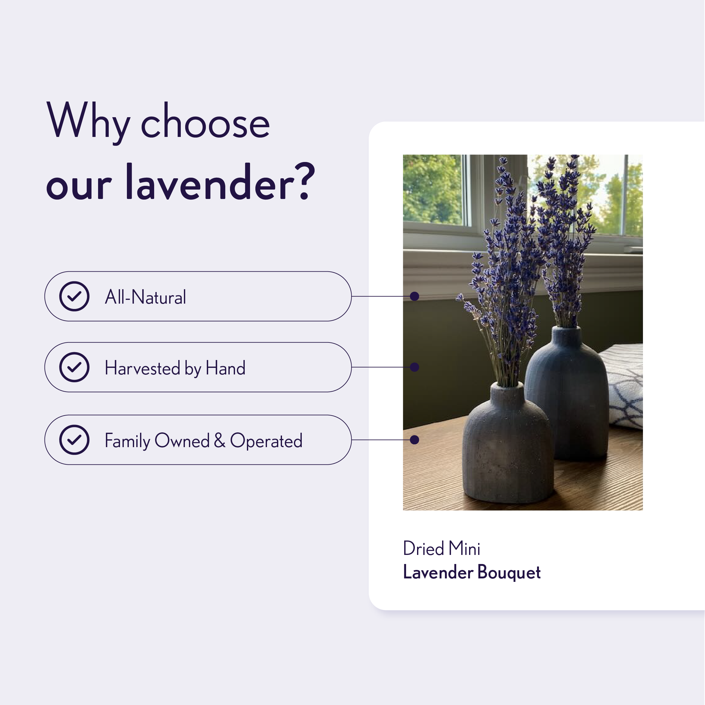 Lavender Creek Farm - Wholesale Dried/Pressed Flowers - Dried Lavender Mini-Bunches8