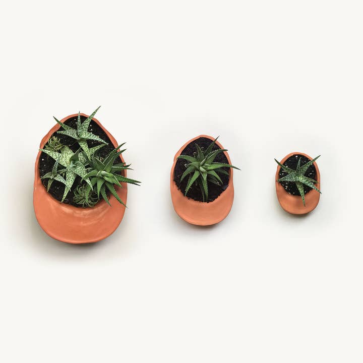 Wyatt Little - Wholesale Plant Pot - Large Terra Cotta Hat Planter1