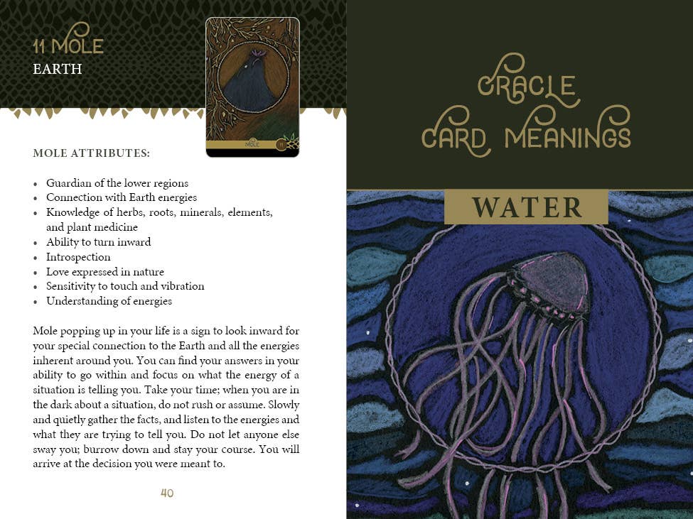 REDFeather - Wholesale Tarot Cards - The Wild Elemental Oracle6