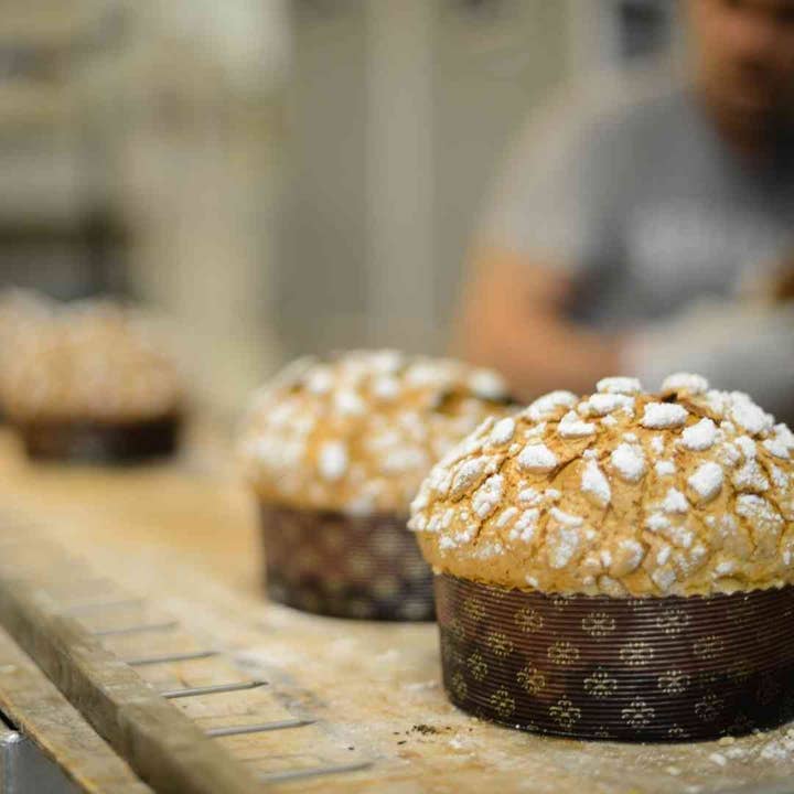 Piccolo Forno - Vendita all'ingrosso Preparati per pane - Panettone artigianale 500grammi