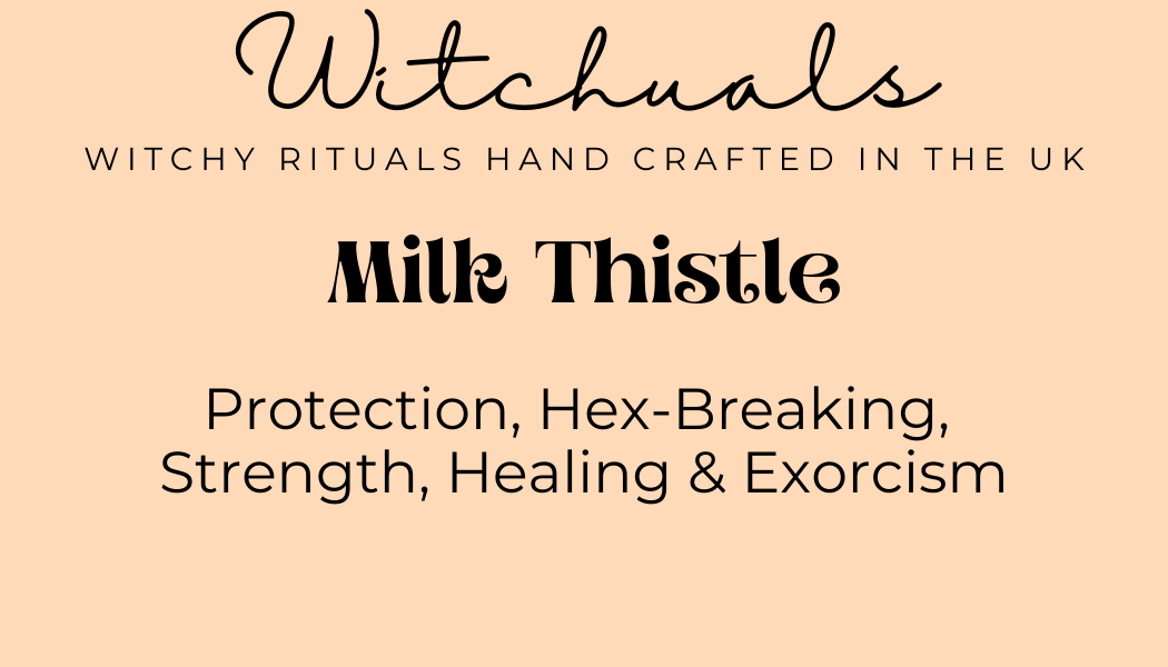 Witchuals - Rituals & Spellwork Apothecary - Wholesale Meditation Supplies - Milk Thistle1
