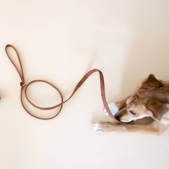 Moniandme - Wholesale Pet Leash - Dog - DOG LEASH CHOCOLATE5