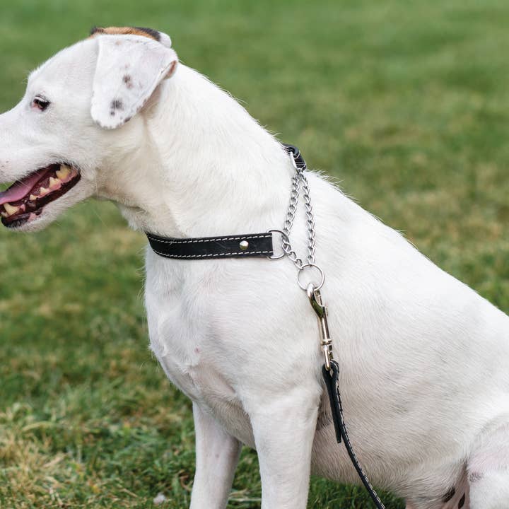 Euro-Dog Collars and Leads - Venta al por mayor Collar - Perros - Collar de perro europeo de cuero suave estilo martingala