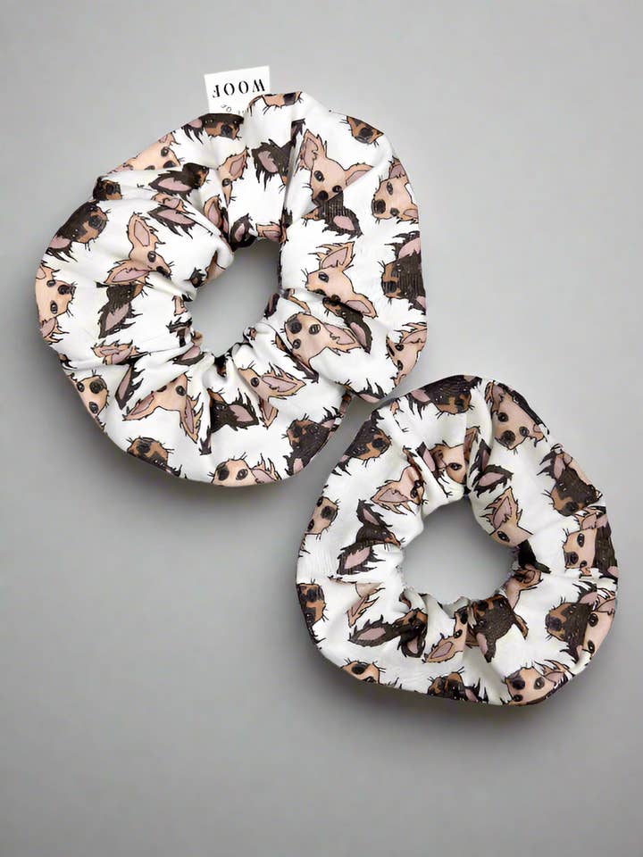 Chihuahua de pelo largo para venta al por mayor de House of Woof