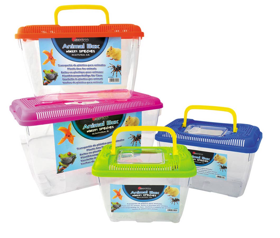 Assortments Animal Box Mini Fish for wholesale on Faire0