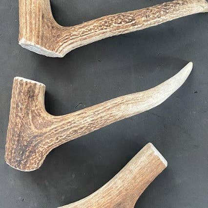 Sawtooth Antler Chews - Wholesale Pet Chew Toy - Dog - Dog Antler Chews24