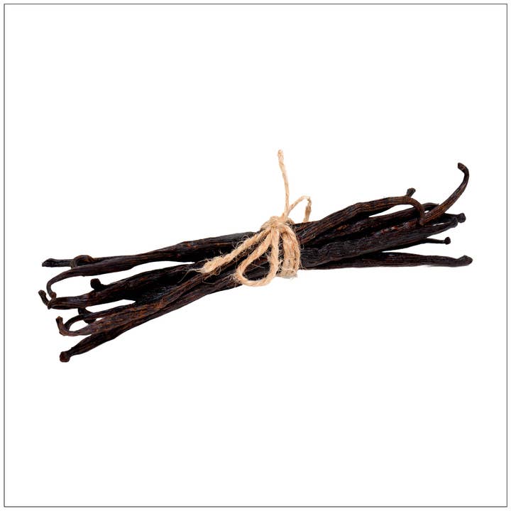 Vanilla Bean for wholesale by Alive Herbals