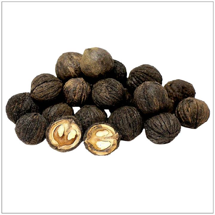 Organic Black Walnut Hull Powder – Immune & Detox Support for wholesale by Alive Herbals