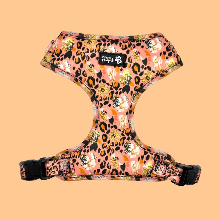 Penelope Floral Harness for wholesale by Furever Pawfect