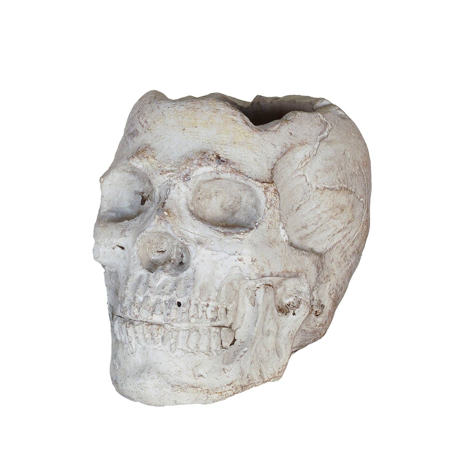 Blue Ocean Traders - Wholesale Outdoor Ornament/Decor - Concrete Momento Mori Skull0
