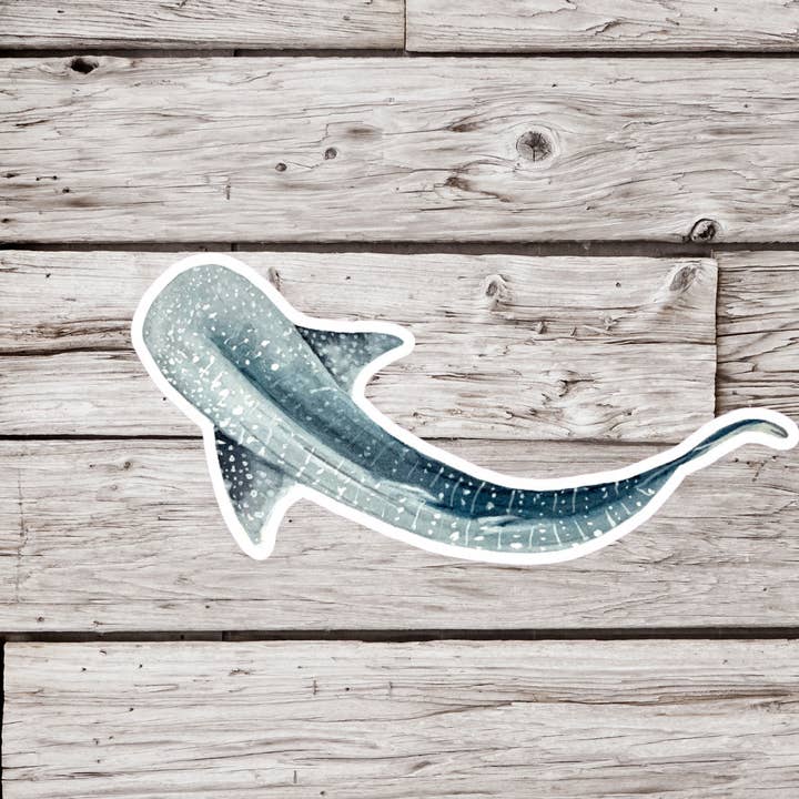 Autocollant requin-baleine, autocollant requin, autocollant baleine pour la vente par NatureCuts
