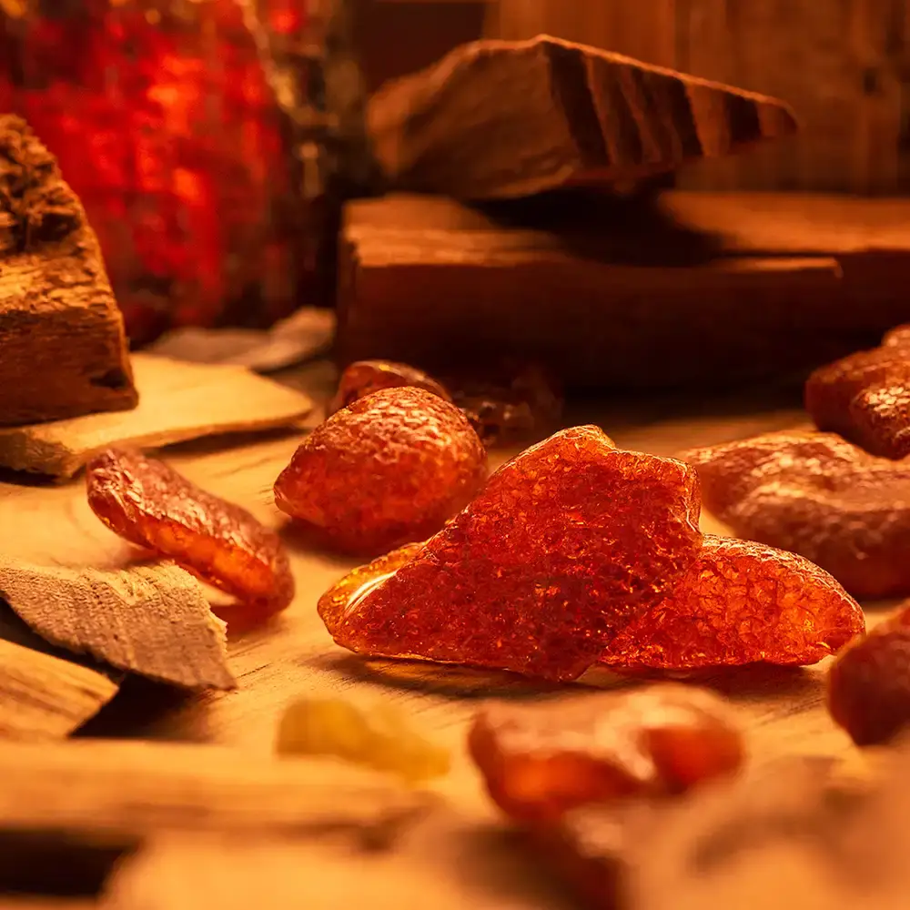 A Scent Story Candle Co - Wholesale Jar/Filled Candle - Books - Helping Introverts Avoid Conversations Since 14542