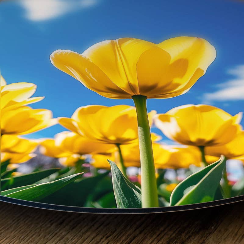 Wanderschoon - Wholesale Wall Accent - Wallcircle Yellow Tulips 2