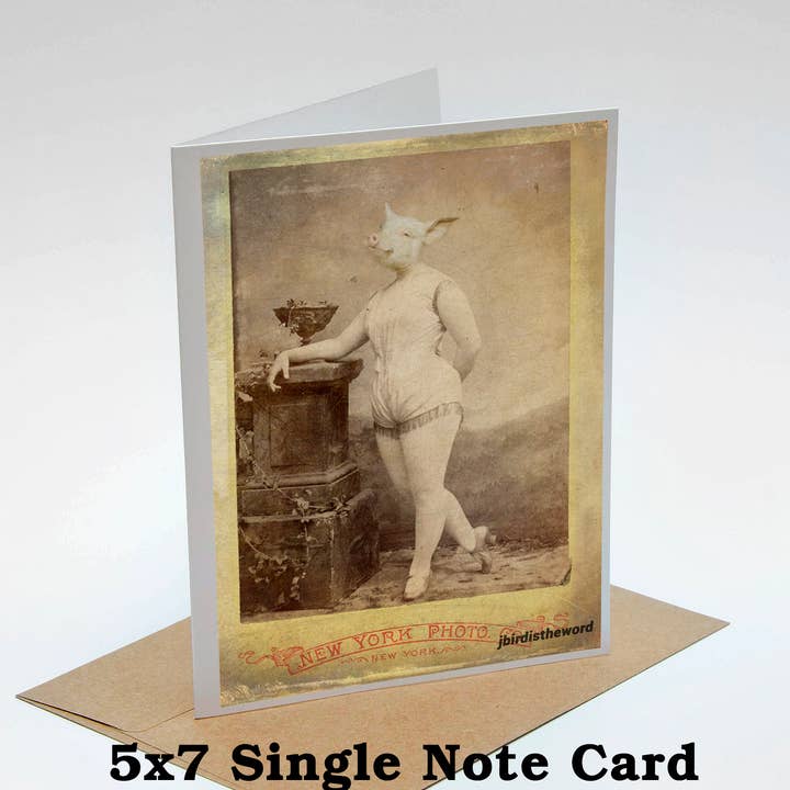 The Wild Oddisorium - Wholesale Everyday Greeting Card - Pig Note Card Farmer Ballet Ballerina Dancer Strong Woman0