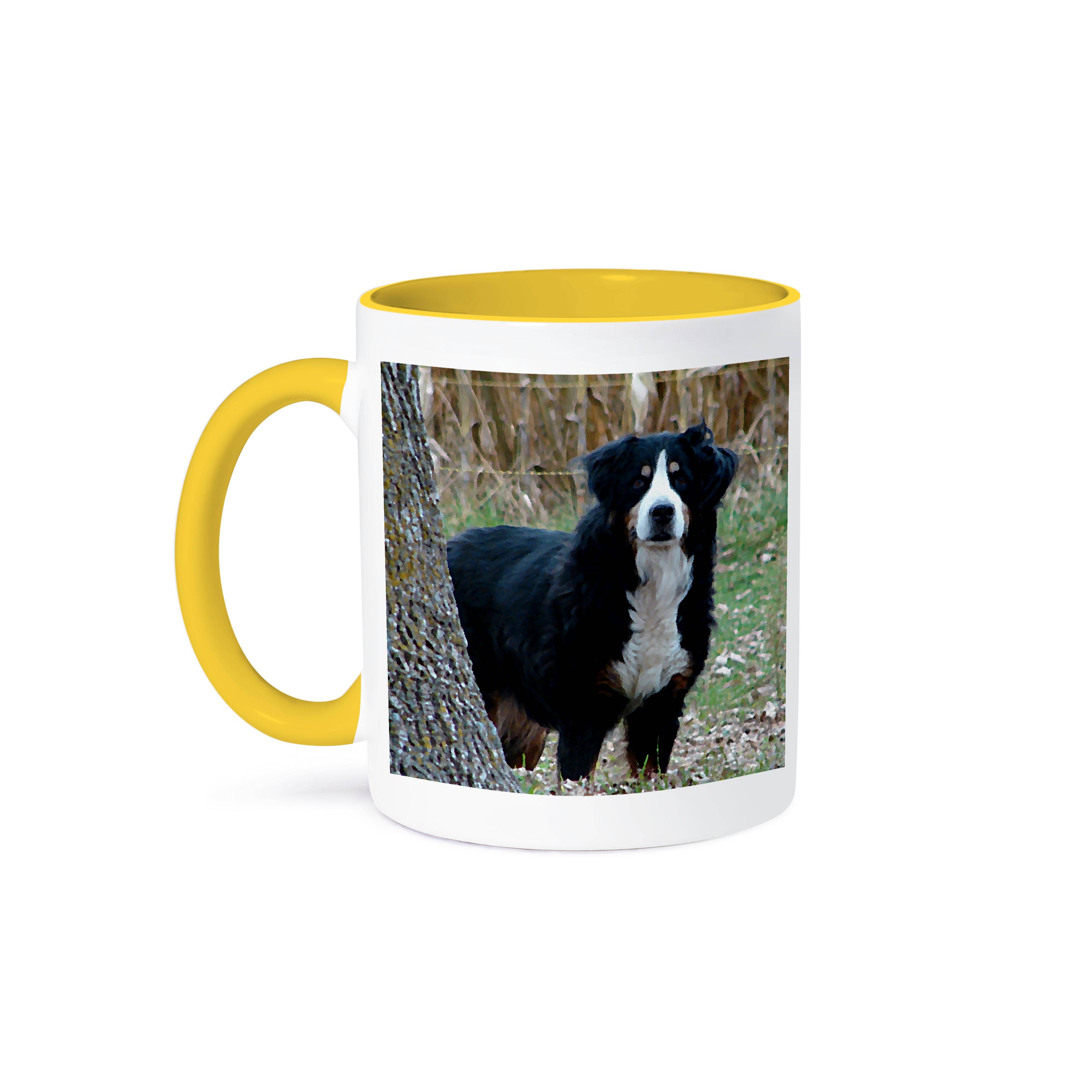 3dRose – wholesale Kaffekoppar – 3dRose, Berner sennenhund, mugg0