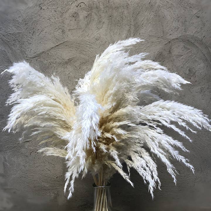 Wholesale Boho Wedding Decor Large Plume Dry Pampas Grass Flower Decor Natural Real Preserved Dried Pampas Grass. for wholesale by Effiliving