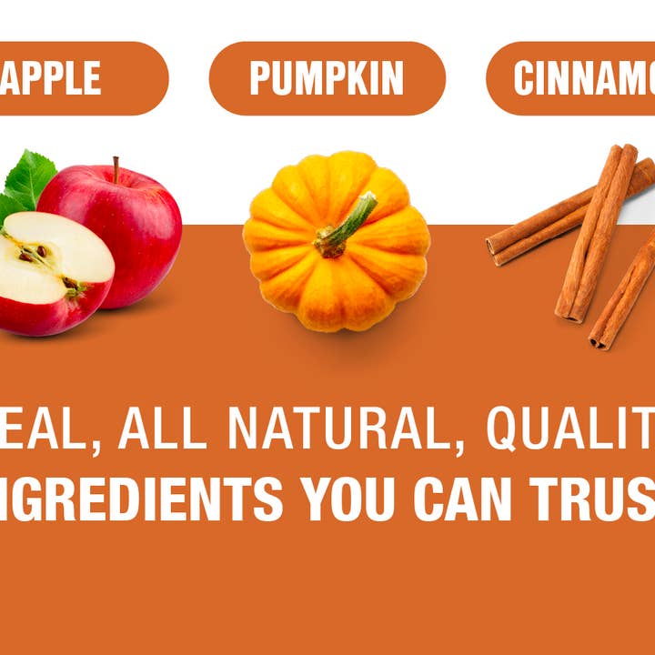 Tiesta Tea Company - Wholesale Loose Tea - Pumpkin Spice - Pumpkin Spice Rooibos Tea - 2oz Pouch