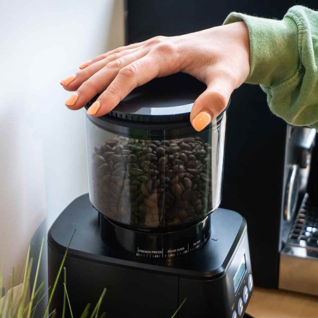 Black Core All Grind Plus for wholesale on Faire4