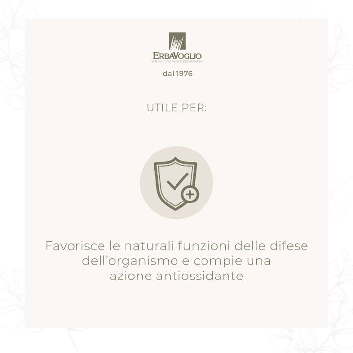 Erbavoglio – wholesale Oralt tillskott/Vitamin – Garcinia Mangostana kapslar1