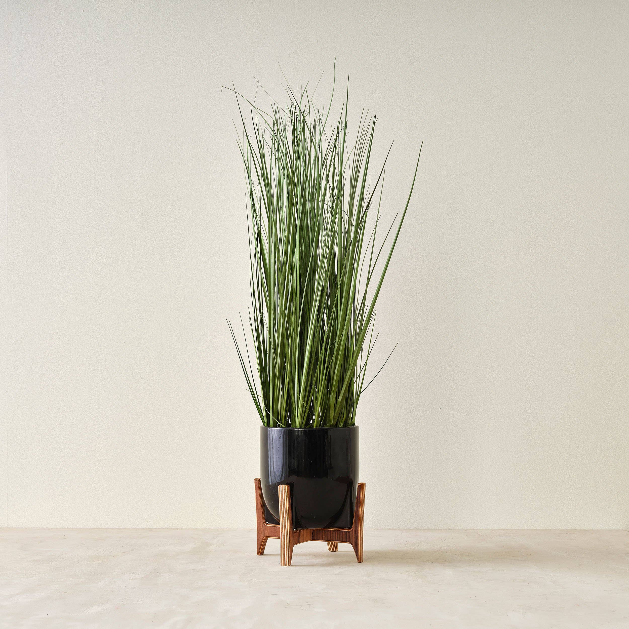 Relic Modern™ | Furniture & Objects - Wholesale Plant Pot Stand - Minimalist Walnut Plant Stand - (4", 6", 8", 10", 12")15