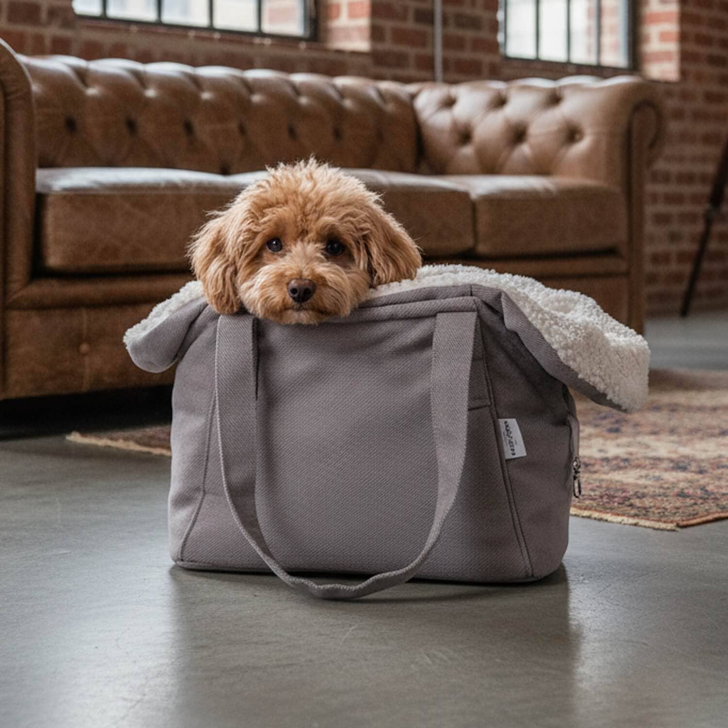 DOGS in the CITY® - Vente Sac à main – chien - Sac pour chien Madison Mouse2