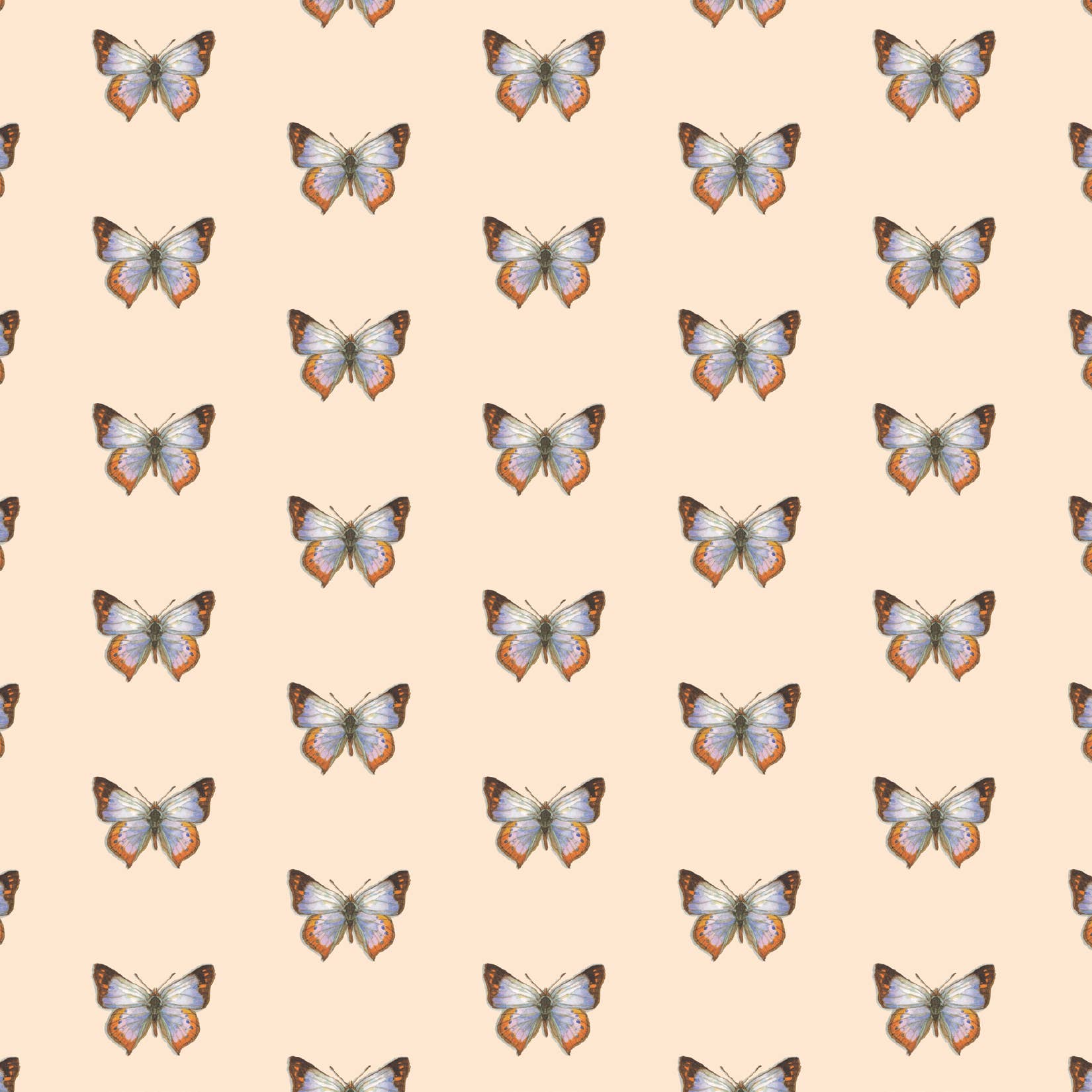 Yeesan Loh - Wholesale Flat Wrap - Gift Wrap / Butterflies & Moths3