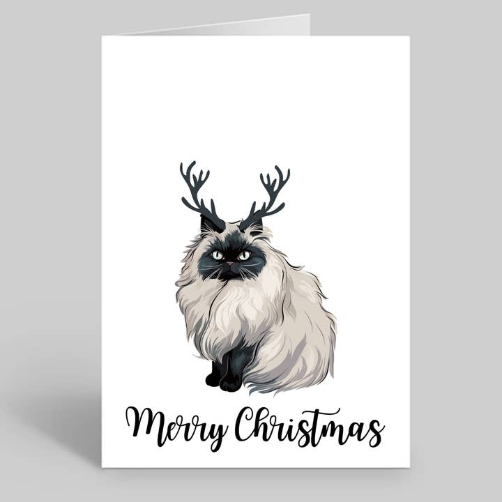 Set of 10 Persian Cat Christmas Cards - Envelopes Included for wholesale by We Are Positive Prints