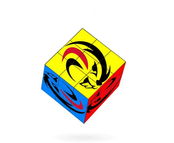 Sunkiss - Wholesale Puzzle - Adult - Custom Designed Swizzle Cube (Medium)4